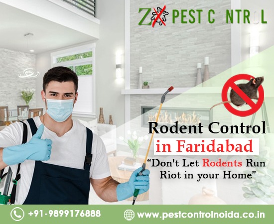 Rodent Control in Faridabad