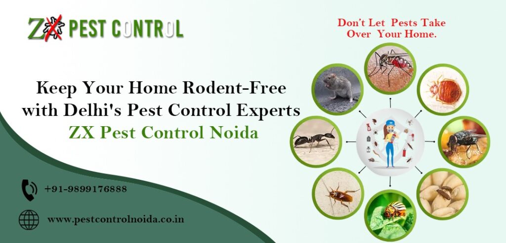 Pest Control in Delhi