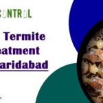 Anti Termite Treatment in Faridabad