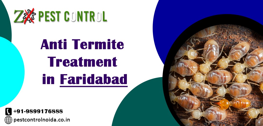 Anti Termite Treatment in Faridabad