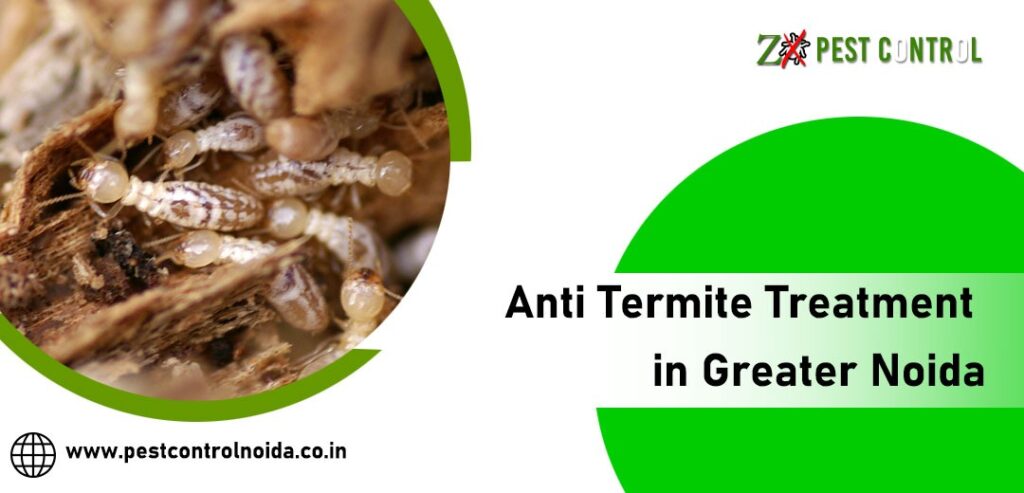Who is Responsible for Termite Treatment in Noida?