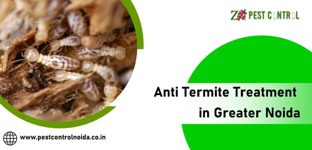 Who is Responsible for Termite Treatment in Noida?