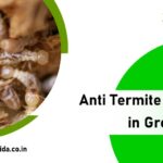 Who is Responsible for Termite Treatment in Noida?