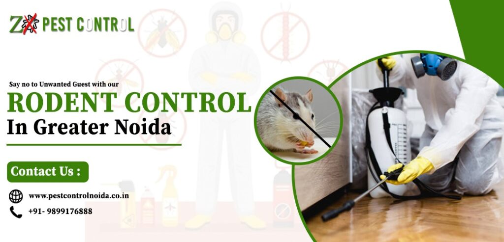 Rodent Control in Greater Noida