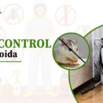 Rodent Control in Greater Noida