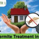 Anti Termite Treatment in Noida