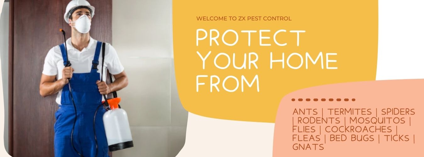Pest Control in Ghaziabad