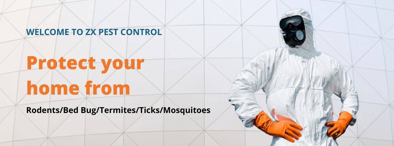 Pest Control in Noida